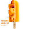 Tendre Abricot | Sorbet Artisanal