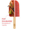 Pop Rhubarbe Dégustation